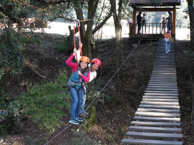 翡翠森林的乐趣